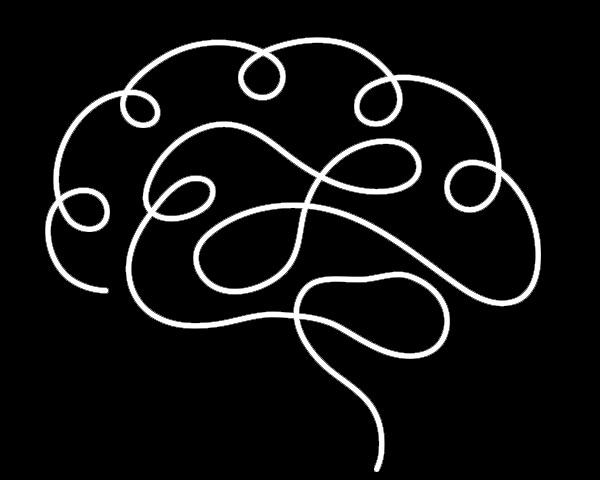 brain